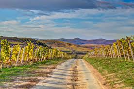 Septembrový únik: Kultúra a víno v Tokajskej oblasti