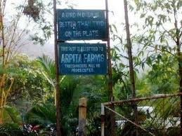 salman khan s panvel farm house celebrity houses farm salman khan