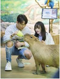 Trường đại học hàng hải việt nam. Rlpomuccmge9rm