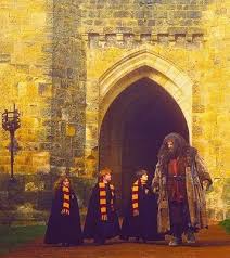 hagrid and golden trio harry potter pictures harry potter wall harry potter movies