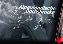 Image result for alpský brakýř jezevčíkovitý