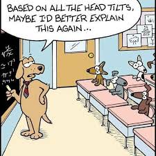 Can T Resist The Dog Head Tilt Funny Pictures Dog Comics Math Cartoons