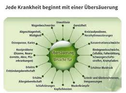 Das Saure Basen Gleichgewicht Ist Einer Der Wichtigsten Schlussel