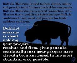 Buffalo Medicine Is Used To Feed Clothe Shelter And Provide Tools For The Survival Of Th Animal Totem Spirit Guides Spirit Animal Totem Animal Spirit Guides