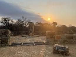 Image result for Gymnosporia matoboensis