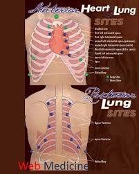 Pin On Nursing School Stuff