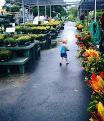 Check spelling or type a new query. Hall S Nursery Ace Hardware Home Facebook