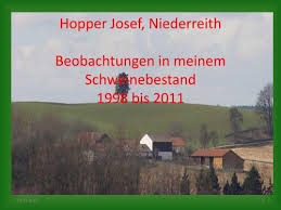 This site provides total 1 english word for anomalien. Anomalien Bei Ferkel Kompetenzinitiative