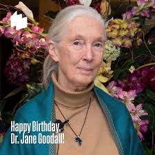 This is AWESOME! #NewYorkTimes Doug Janet Johnson