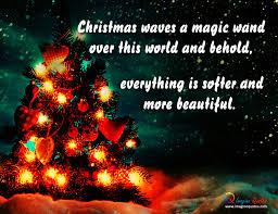 All christmas trees are perfect! Quotes About Christmas Tree 90 Quotes