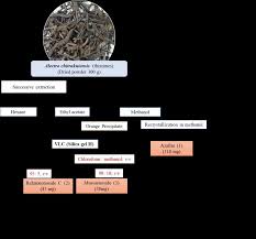 Image result for Alectra parasitica