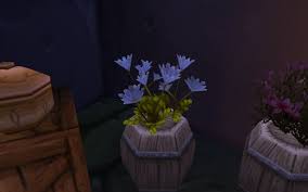Canal district flower shop stormwind. Wow Classic Herbalism Farming Routes Best Zones For Herbs 1 150 Guides Wowhead