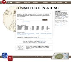 Whey protein, whey isolate, diet whey e proteine dell'albume! Https Www Diva Portal Org Smash Get Diva2 275849 Fulltext01 Pdf