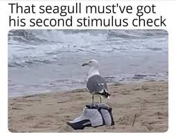 Make inhaling seagull memes or upload your own images to make the fastest meme generator on the planet. That Seagull Must Ve Got His Second Stimulus Check Memes Video Gifs Stolenmemes Stolen Memes Memesdaily Funny Memes Memeacademy Memelord Stolenmeme Memewar Seagull Memes Mustve Memes Got Memes Second Memes