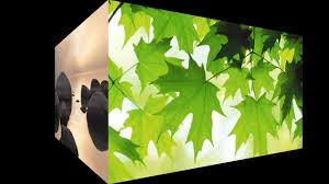 Nikhil Name Wallpaper Summer Leaves 666330 Hd Wallpaper Backgrounds Download If you didn't find an alternative name that you like better than nikhil pop culture references for the name nikhil. nikhil name wallpaper summer leaves