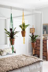 From Ham High Hanging Plants Above Bed Build Frame Instead Of Canopy Bed Creative Bedroom Decor Creative Bedroom Home Decor