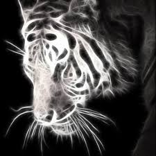  Pengaktifan Energi Khodam Pendamping