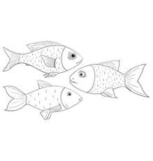 If you use these images in your publication, we do request that you include a credit line for robert savannah, u. Fish Outline Vector Images Over 48 000