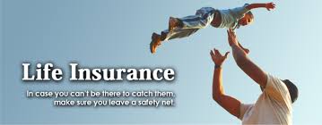 Image result for insurance