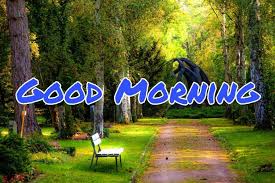 Nobody can go back and a new begining. 100 Good Morning Nature Images Hd Quotes Wishes 2021 Collection
