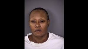 Woman with long theft history accused of stealing again