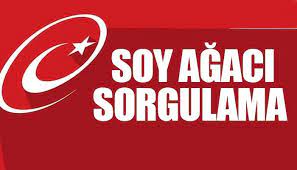 Soyagaci Sorgulama Nasil Yapilir Alt Ve Ust Soyagaci Sorgulama Sayfasi Ne Zaman Acilacak A Haber Son Dakika Gundem Haberleri