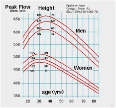 Peak Flow Meter Reading Chart Www Bedowntowndaytona Com