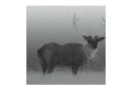 Scout iii displays the heat emitted by in order to expand our range of archery equipment to accomodate everyone, we have set up a new storage warehouse system that allows us to stock. Flir Scout Iii 320 Warmtebeeldcamera Night Vision Binoculars Binoculars