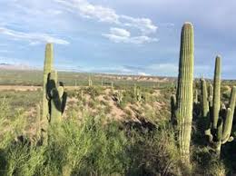 The main reason is that they want to experience healing. Land For Sale Santa Catalina Az Vacant Lots For Sale In Santa Catalina Point2