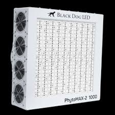 Mix and match, think about the process you will be using, train your plants, keep an canopy, watch your ppm most of all. Black Dog Led Europe Led Grow Lights Growing Kits Indoor Commercial Grow Light