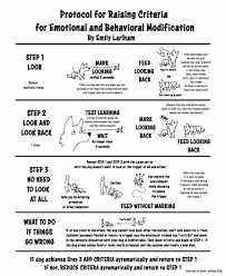 Here are the strategies which can prevent problematic behaviour and promote positive behavioural changes.since every child is different. Protocol For Emotional And Behavioral Modification Dogmantics Dog Training