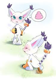 Rule34 - If it exists, there is porn of it  digimon (species), gatomon   7711155