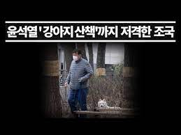 윤석열 총장이 자유한국당과 연합을 했느니 하는 근거없는 유언비어까지 나도는 상황이 되었다. ìœ¤ì„ì—´ ê°•ì•„ì§€ ì‚°ì±… ê¹Œì§€ ì €ê²©í•œ ì¡°êµ­ê³¼ ì¹œì—¬ ë§¤ì²´ ì´ê±´ ì¢€ ì°Œì§ˆí•œë° Youtube