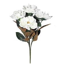 Image result for Magnolia White 1980 Amos and Sons