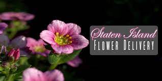 Whether you check out the metropolitan museum of art, stroll along the high line, or explore central park, you. 8 Best Flower Delivery In Staten Island Ny 2021