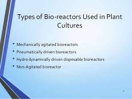 Cell suspensions are more amenable to scale up from a biochemical engineering standpoint that requires simple bioreactors as compared with more organized tissue system. Bioreactors For Plant Cell Cultures