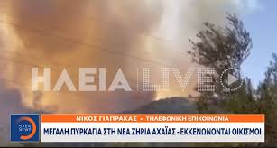 Η πελοπόννησος διαιρείται διοικητικά σε επτά νομούς (αργολίδας, αρκαδίας, αχαΐας, ηλείας, κορινθίας, λακωνίας, μεσσηνίας) ενώ ένα μικρό τμήμα της υπάγεται διοικητικά στο νομό αττικής. 5pvqtf Yc Qj8m