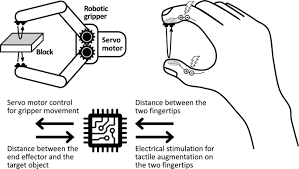 I can use my fingers to touch any other options and i can keep drawing but zoom just doesnt work correctly. Electrically Evoked Proximity Sensation Can Enhance Fine Finger Control In Telerobotic Pinch Scientific Reports