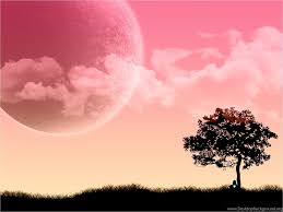 We have a lot of different topics this collection presents the theme of pink desktop. Top 1024x768 Think Pink Desktop Images For Pinterest Desktop Background