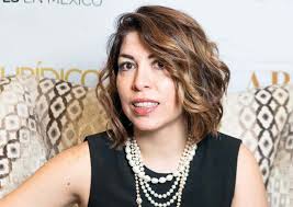 Entender la Perspectiva Humana del Derecho