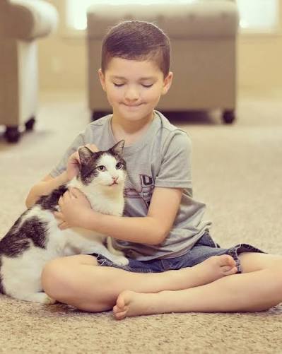 A seven-year-old boy from Tulsa, Oklahoma found a rescue cat that looked just like him. Madden Humphreys was born with a cleft lip and palate, as well as two different coloured eyes.
