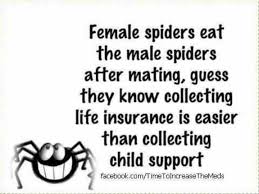 Spiders Life Insurance Life Insurance Quotes Cute Quotes Funny Quotes