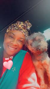 Missing Yorkie in Huntsville, AL, and Madison County