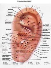 Pin On Medicine