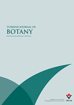 Turkish Journal of Botany | TÜBİTAK
