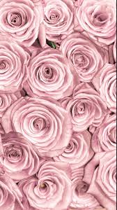 We did not find results for: Rose Gold Lock Screen Floral Wallpaper Novocom Top