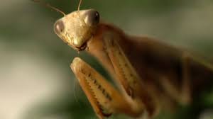 Maybe you would like to learn more about one of these? Watch Ancient Aliens Season 7 Episode 7 History Channel