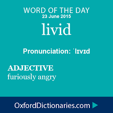 Livid Definition Of Livid In English From The Oxford Dictionary Words Unusual Words Foreign Words