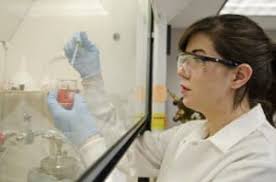 Sculpture and science collide in lab The Commonwealth Times