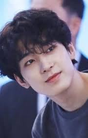 Tổng hợp truyện Vincent